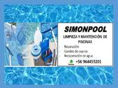Logo SimonPool
