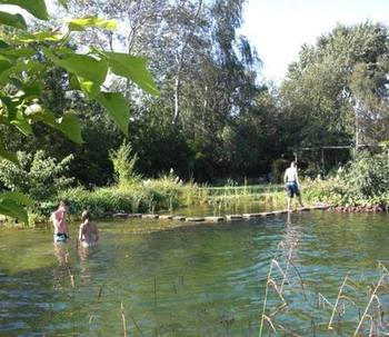 Ventajas de tener una piscina ecológica