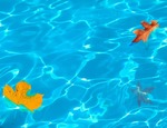 Cómo mantener la piscina en otoño