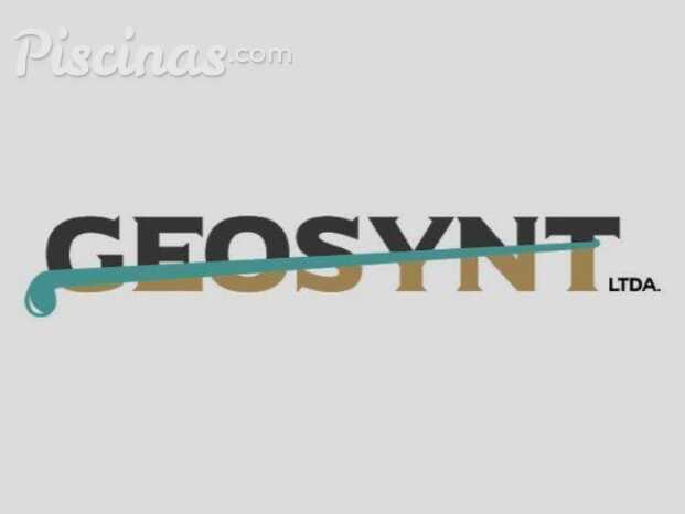 Logo Geosynt