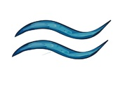 Logo Piscifres